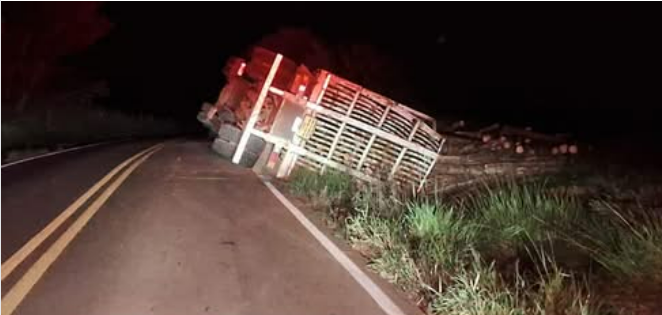 CAMINHÃO CARREGADO COM TORAS TOMBA NA PR-364