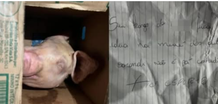 HOMEM RECEBE CABEÇA DE PORCO E BILHETE COM AMEAÇAS EM SARANDI