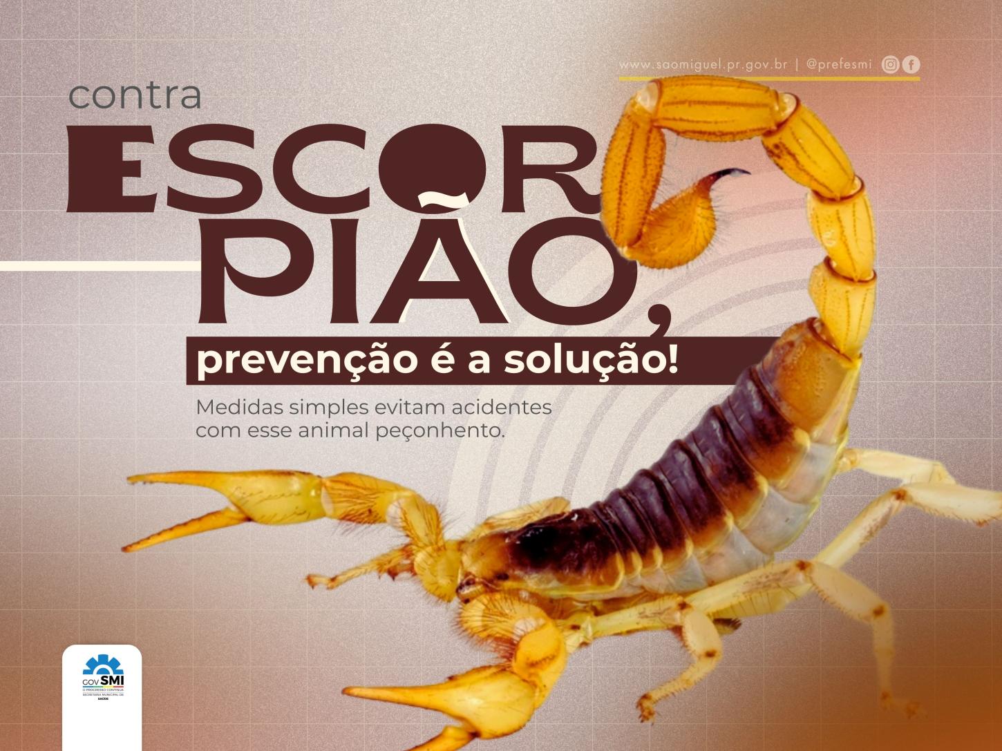 SÃO MIGUEL DO IGUAÇU REGISTROU 73 ACIDENTES COM ANIMAIS PEÇONHENTOS EM 2025