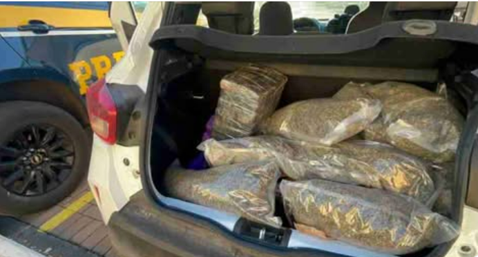 HOMEM É PRESO COM DROGAS NA BR-277 DURANTE FISCALIZAÇÃO DA PRF