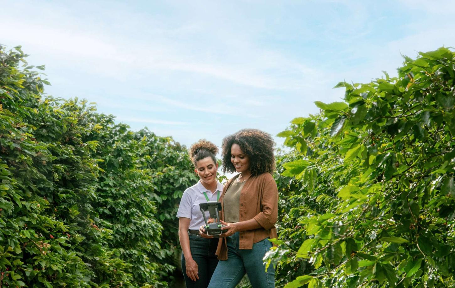 SICREDI CONSOLIDA LIDERANÇA NO CRÉDITO RURAL DO PARANÁ COM 23,4% DO VOLUME LIBERADO