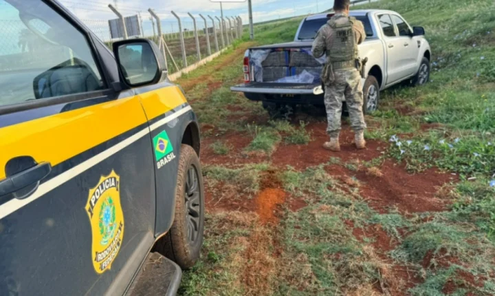 PRF APREENDE QUASE 1 TONELADA DE MACONHA E PRENDE SUSPEITO NA BR-277