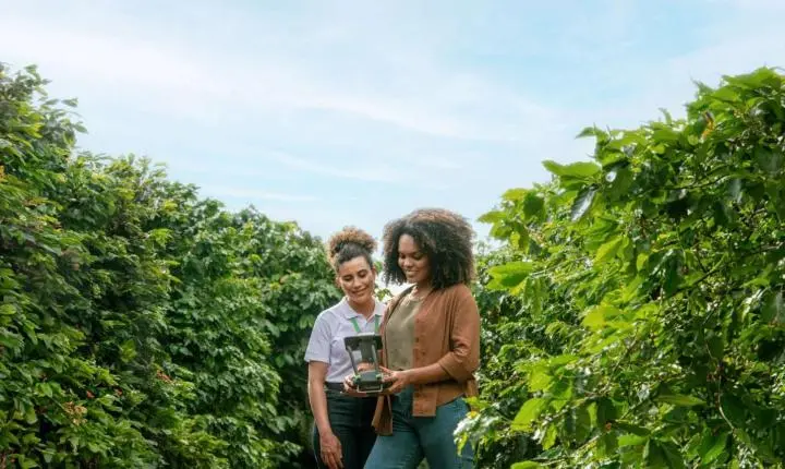 SICREDI CONSOLIDA LIDERANÇA NO CRÉDITO RURAL DO PARANÁ COM 23,4% DO VOLUME LIBERADO